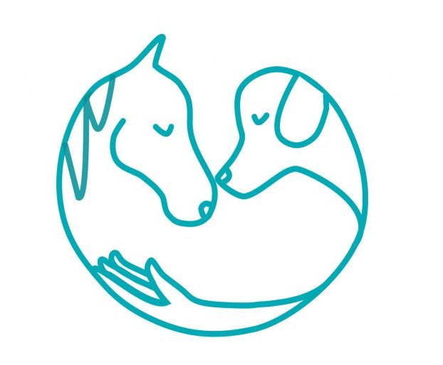 Osteopathie und Physiotherpie für Hunde und Pferde – Laura Walz